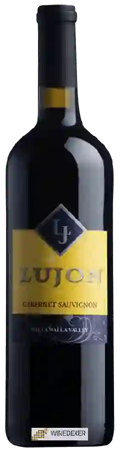 Weingut Lujon - Cabernet Sauvignon