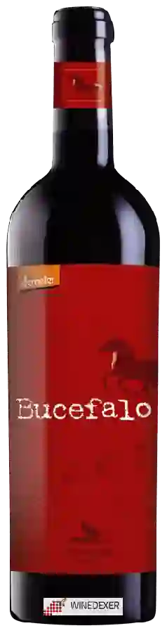 Weingut Lunaria - Bucefalo Weingut Lunaria - Bucefalo