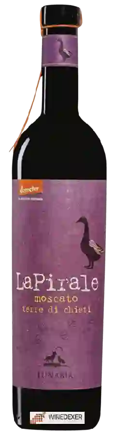 Weingut Lunaria - LaPirale Terre di Chieti