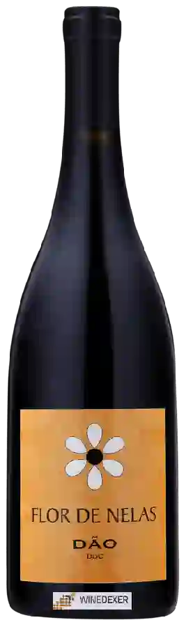 Weingut Flor de Nelas - Tinto Weingut Flor de Nelas - Tinto