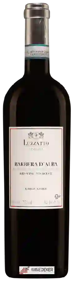 Weingut Luzzatto Vineyard - Barbera d'Alba