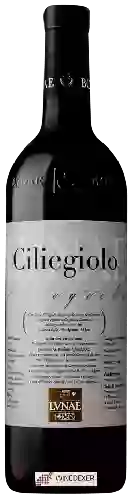 Weingut Lvnae - Ciliegiolo
