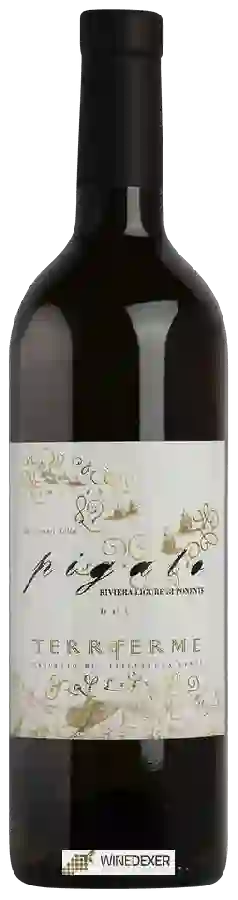 Weingut Lvnae - Terre Ferme Pigato Weingut Lvnae - Terre Ferme Pigato