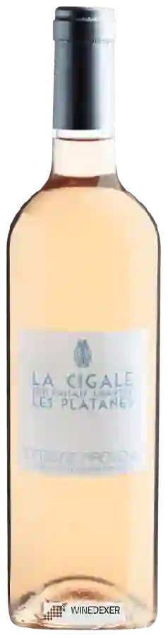 Weingut M. Chapoutier - La Cigale Qui Faisait Chanter Les Platanes Côtes de Provence Weingut M. Chapoutier - La Cigale Qui Faisait Chanter Les Platanes Côtes de Provence