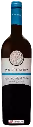 Weingut Macchialupa - Irpinia Coda di Volpe