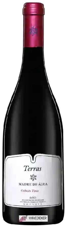 Weingut Madre de Água - Terras Colheita Tinto Weingut Madre de Água - Terras Colheita Tinto
