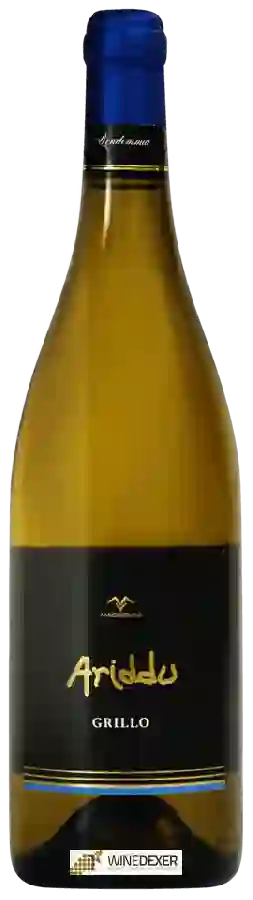 Weingut Maggio Vini - Ariddu Grillo Weingut Maggio Vini - Ariddu Grillo