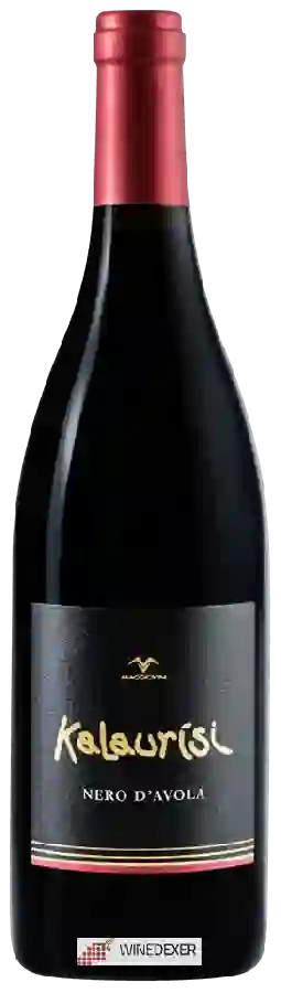 Weingut Maggio Vini - Kalaurisi Nero d'Avola Weingut Maggio Vini - Kalaurisi Nero d'Avola