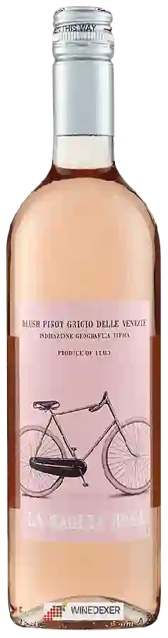Weingut Maglia Rosa - Blush Pinot Grigio delle Venzie