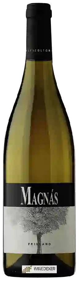 Weingut Magnàs - Friulano Weingut Magnàs - Friulano