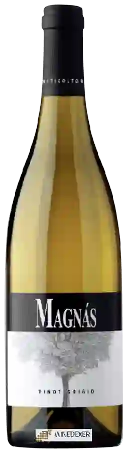 Weingut Magnàs - Pinot Grigio Weingut Magnàs - Pinot Grigio