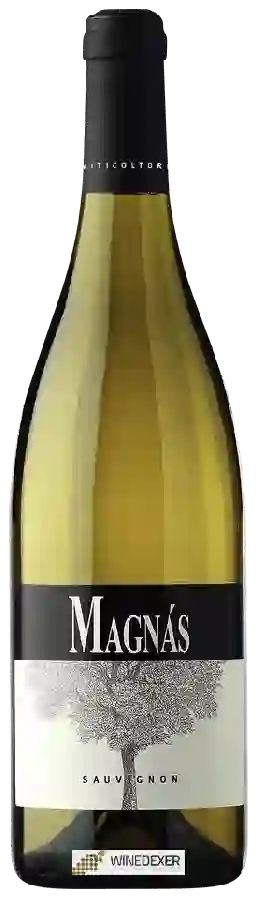 Weingut Magnàs - Sauvignon Weingut Magnàs - Sauvignon