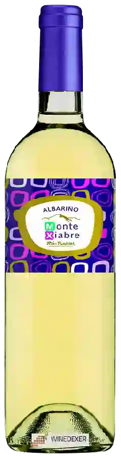 Weingut Maior de Mendoza - Monte Xiabre Albariño Weingut Maior de Mendoza - Monte Xiabre Albariño