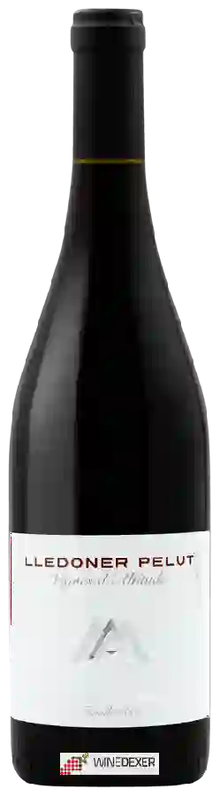 Maison Albera - Vignes d'Altitude Lledoner Pelut