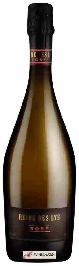 Maison Colin Seguin - Reine des Lys Rosé Maison Colin Seguin - Reine des Lys Rosé