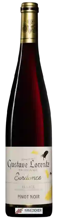 Weingut Gustave Lorentz - Pinot Noir Alsace Evidence