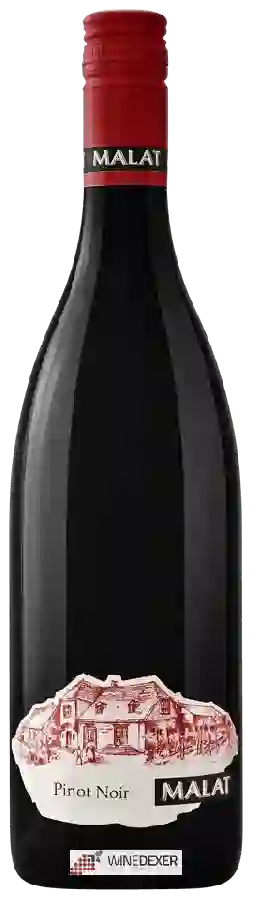 Weingut Malat - Pinot Noir