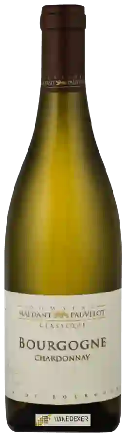Domaine Maldant Pauvelot - Classique Bourgogne Chardonnay Domaine Maldant Pauvelot - Classique Bourgogne Chardonnay
