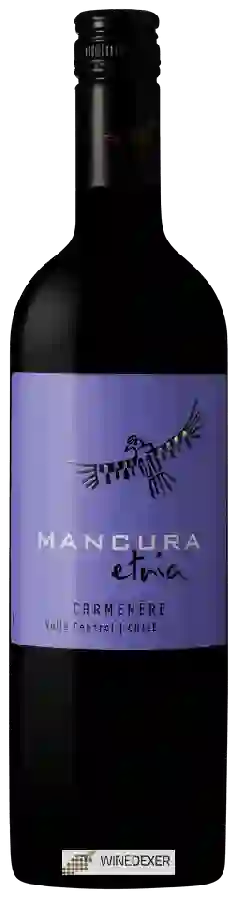 Weingut Mancura - Etnia Carmenère