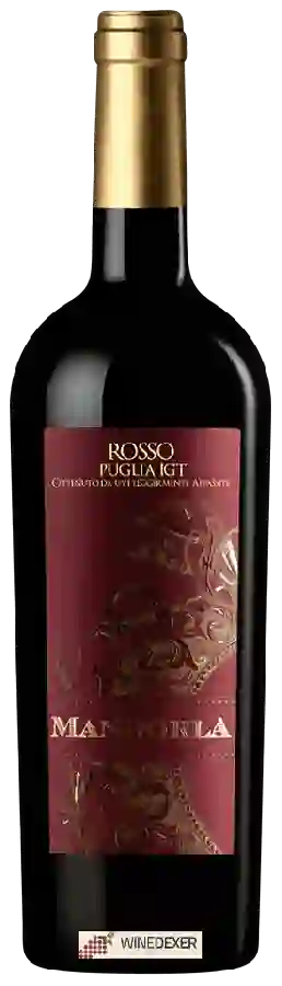 Weingut Mandorla - Puglia Rosso