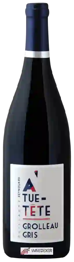 Weingut Manoir de la Tête Rouge - À Tue-Tête Grolleau Gris