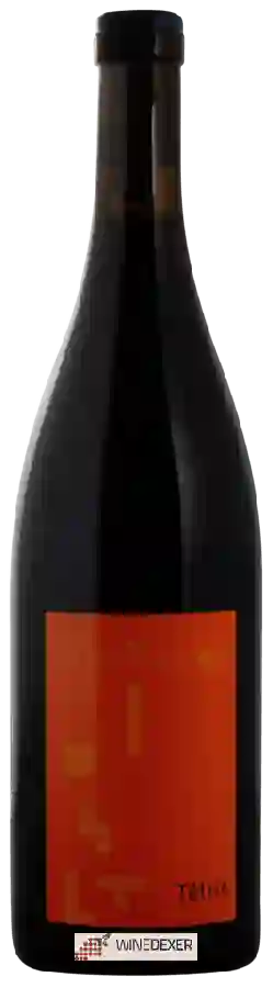 Weingut Manoir de la Tête Rouge - Tétris Weingut Manoir de la Tête Rouge - Tétris