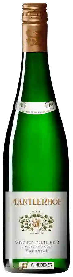 Weingut Mantlerhof - Grüner Veltliner Lössterrassen Weingut Mantlerhof - Grüner Veltliner Lössterrassen