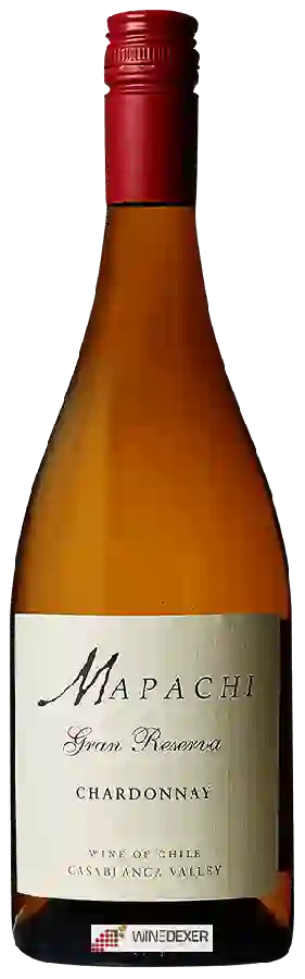 Weingut Mapachi - Gran Reserva Chardonnay Weingut Mapachi - Gran Reserva Chardonnay