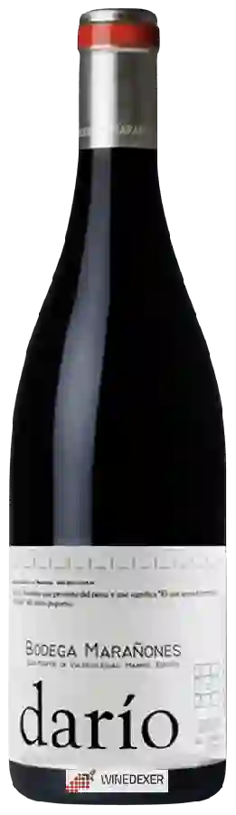 Bodega Marañones - Darío Bodega Marañones - Darío