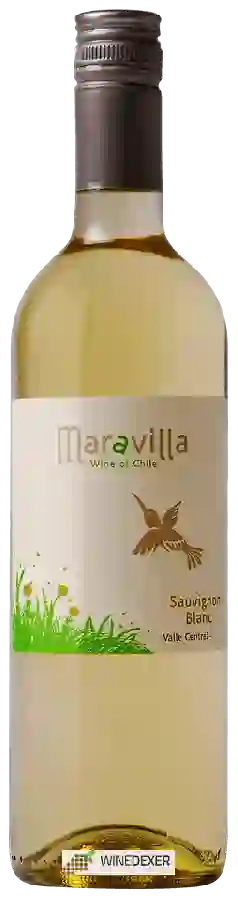 Weingut Maravilla - Sauvignon Blanc Weingut Maravilla - Sauvignon Blanc