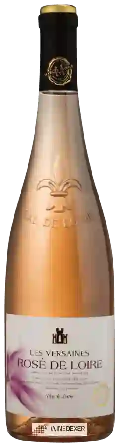 Weingut Marcel Martin - Les Versaines Rosé de Loire Weingut Marcel Martin - Les Versaines Rosé de Loire