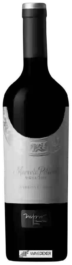 Weingut Marcelo Pelleriti - Signature Cabernet Franc Weingut Marcelo Pelleriti - Signature Cabernet Franc