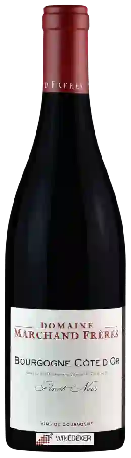 Domaine Marchand Freres - Bourgogne Cote d'Or Pinot Noir