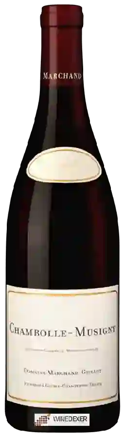 Weingut Marchand Grillot - Chambolle-Musigny Weingut Marchand Grillot - Chambolle-Musigny