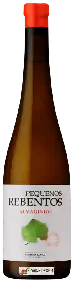 Weingut Marcio Lopes - Pequenos Rebentos Alvarinho Weingut Marcio Lopes - Pequenos Rebentos Alvarinho