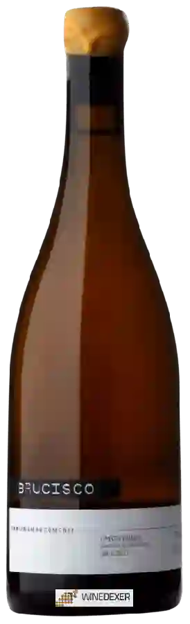 Weingut Cantina Marco Merli - Brucisco Umbria Bianco