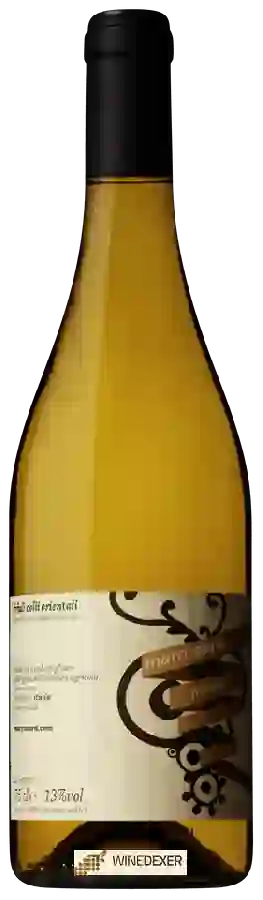 Weingut Marco Sara - Friulano