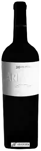 Weingut Mariatinto - Tinto