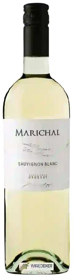 Weingut Marichal - Sauvignon Blanc (Premium Varietal)