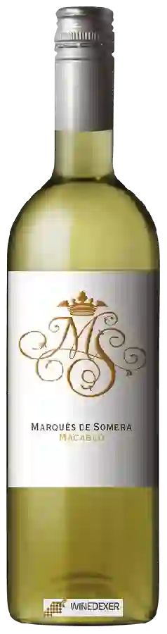 Weingut Marqués de Somera - Macabeo