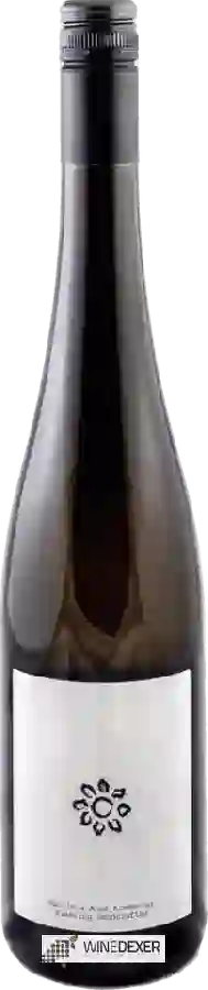 Weingut Martin & Anna Arndorfer - Handcrafted Riesling