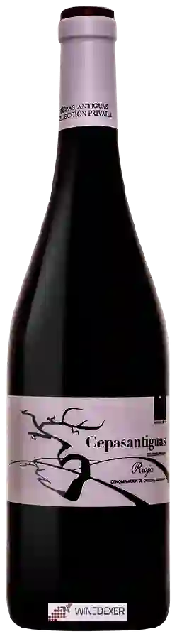 Weingut Martinez Corta - Cepas Antiguas Weingut Martinez Corta - Cepas Antiguas