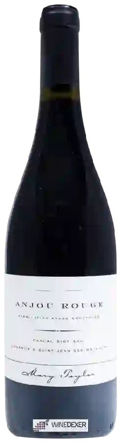 Weingut Mary Taylor - Pascal Biotteau Anjou Rouge