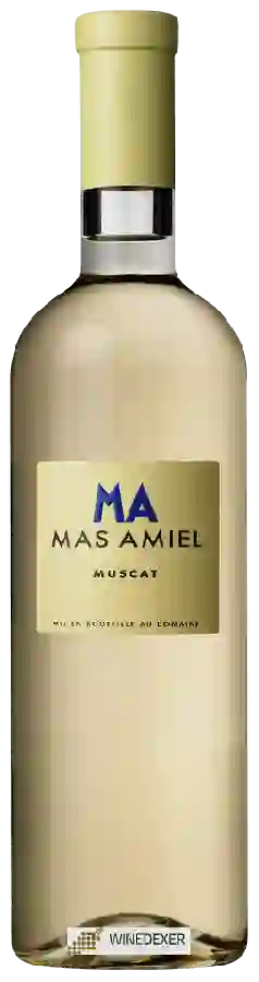 Weingut Mas Amiel - Muscat Weingut Mas Amiel - Muscat