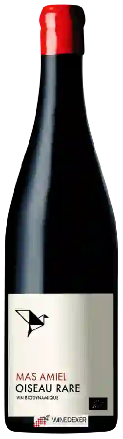 Weingut Mas Amiel - Oiseau Rare