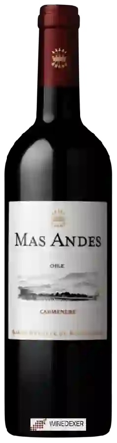 Weingut Mas Andes - Carménère Reserva Weingut Mas Andes - Carménère Reserva