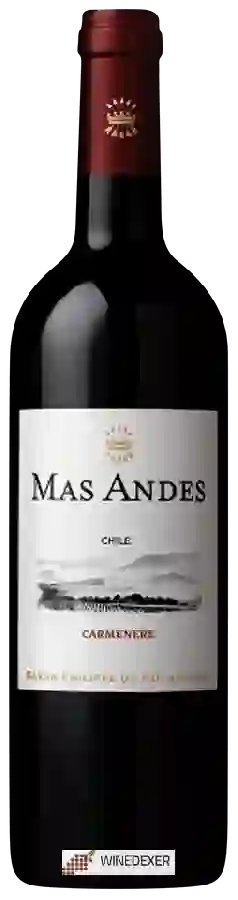 Weingut Mas Andes - Carménère Weingut Mas Andes - Carménère