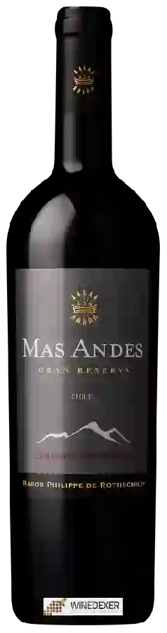 Weingut Mas Andes - Gran Reserva Cabernet Sauvignon Weingut Mas Andes - Gran Reserva Cabernet Sauvignon
