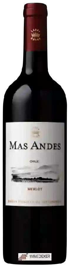 Weingut Mas Andes - Merlot Weingut Mas Andes - Merlot