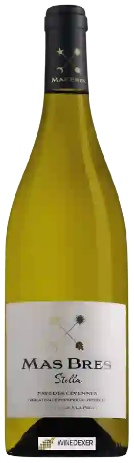 Weingut Mas Bres - Stella